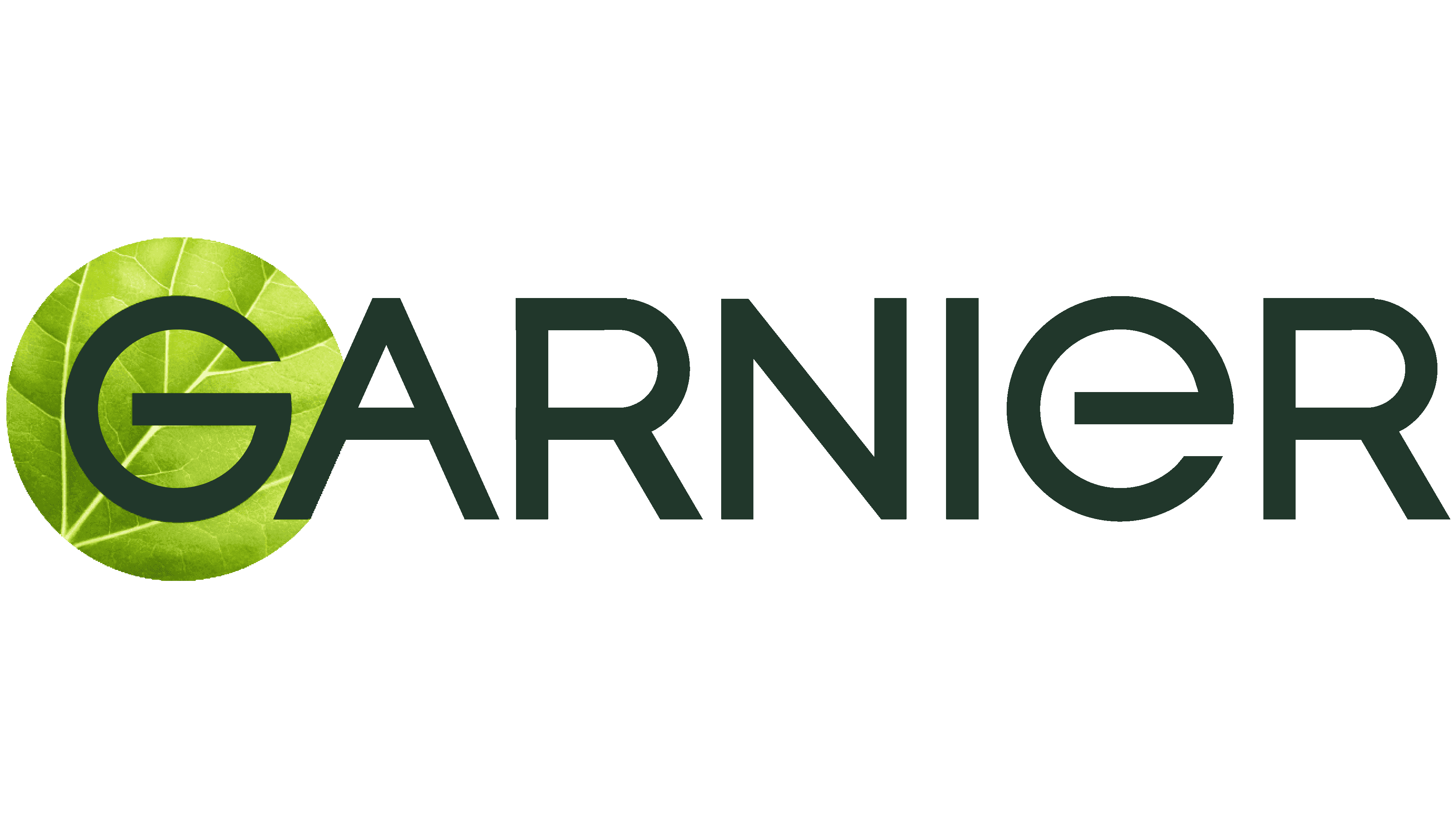 Garnier_logo_PNG7